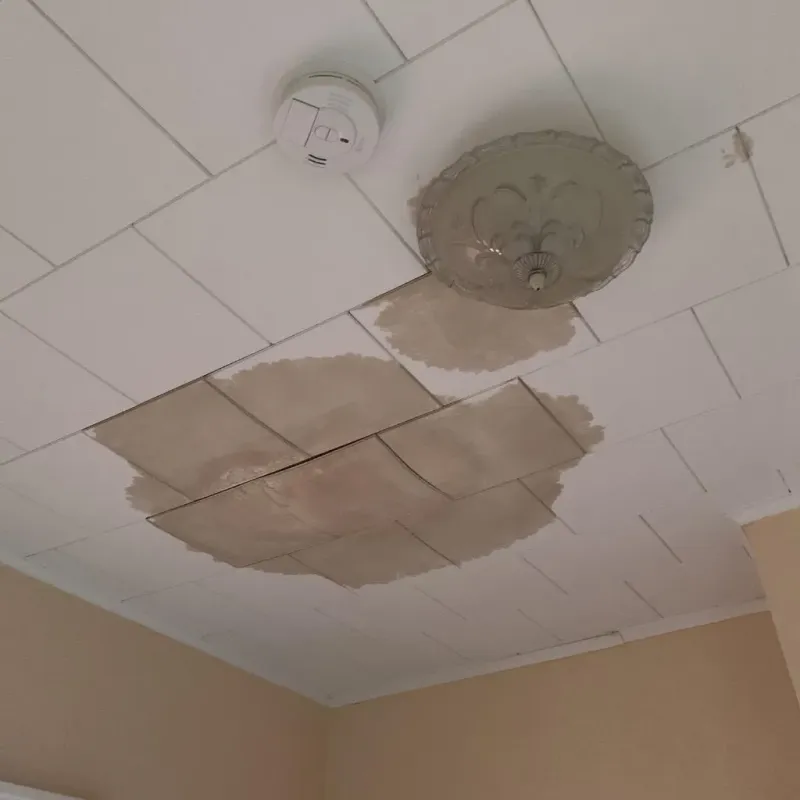 Ceiling Water Damage Repair in Dyer, TN