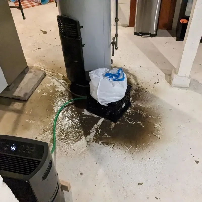 Sewage Backup Cleanup Service in Dyer, TN